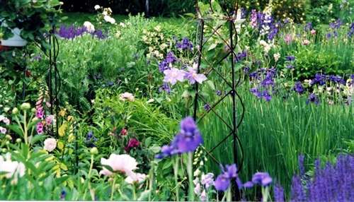 Photo of an Example of finished English Garden Design