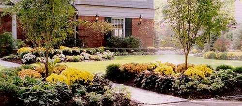 Photo of Garden Design Ideas - Informal Landscaping Example