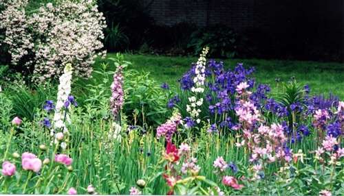Photo of an English Garden Perennials